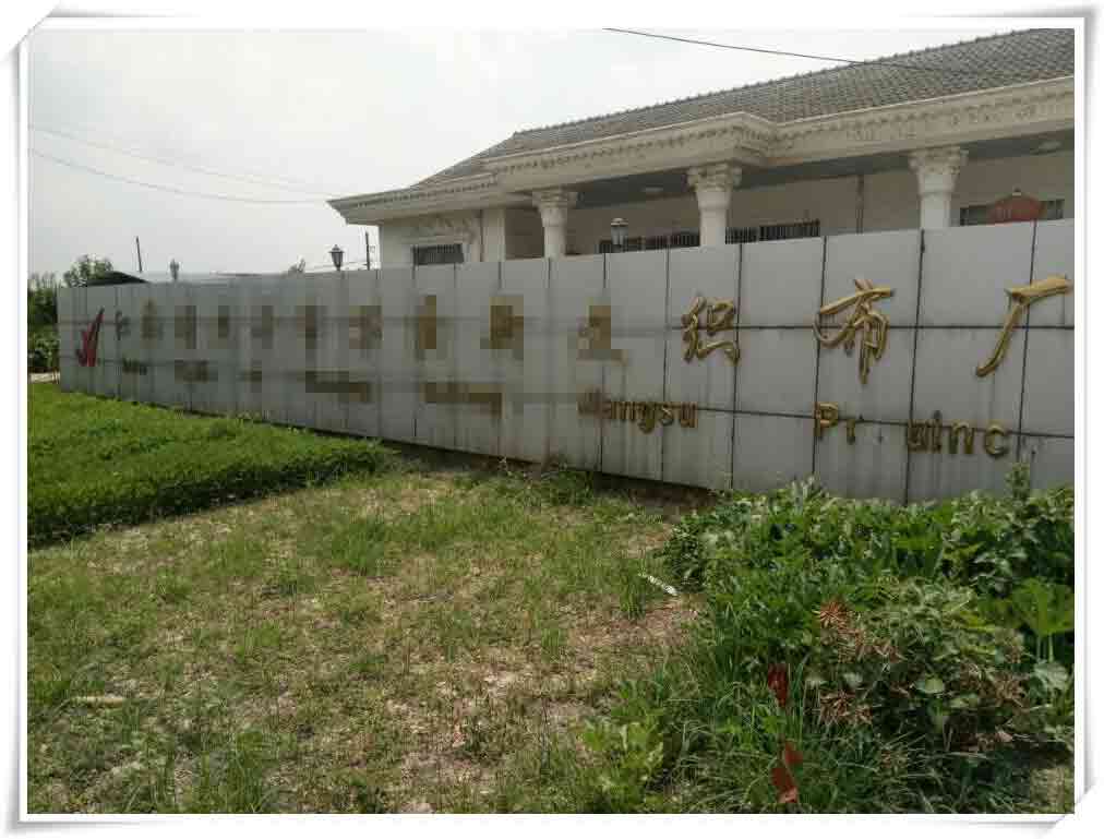 �_��Չ��C�͑�����