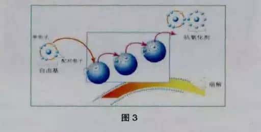 �Չ��C���ɫ׃��